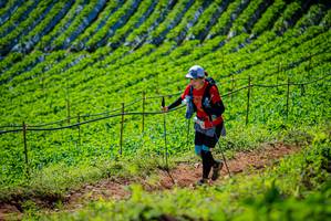 BIB: 
                            <button type="button" onclick="openModal(19162914)" class="btn btn-primary btn-sm float-right btn-popup" data-toggle="modal" data-target=".modal-high-quality">
                        <i class="fas fa-shopping-cart"></i> Add to Cart
                    </button>
                                            <button type="button" onclick="isThisMe(19162914, true)" class="btn btn-success btn-sm float-right btn-popup btn-isme hidden" data-toggle="tooltip" data-placement="bottom" title="นี่คือรูปของคุณใช่ไหม คลิกที่นี่เพื่อเอาเข้าอัลบั้ม">
                        <i class="fas fa-plus"></i> Add to album
                    </button>
                    <button type="button" onclick="isThisMe(19162914, false)" class="btn btn-warning btn-sm float-right btn-popup btn-isnotme hidden">
                        <i class="fas fa-ban"></i> Remove from album
                    </button>